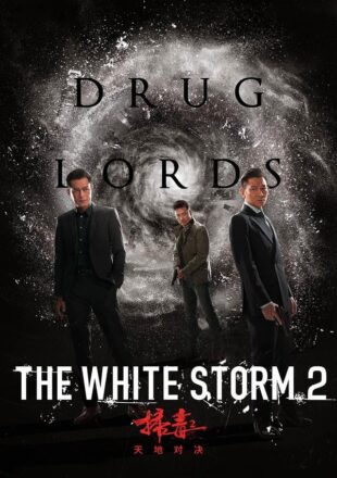 The White Storm 2 Drug Lords 2019 Dual Audio Hindi English 480p 720p