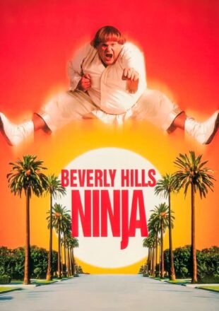 Beverly Hills Ninja 1997 Dual Audio Hindi-English 480p 720p 1080p