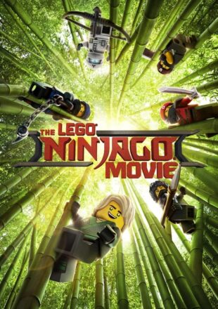 The Lego Ninjago Movie 2017  Hindi-English 480p 720p 1080p