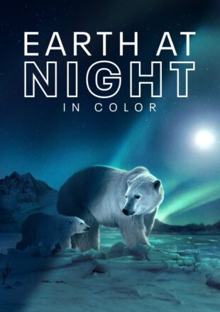 Earth at Night in Color Season 1-2 Dual Audio Hindi-English 720p 1080p All Episode