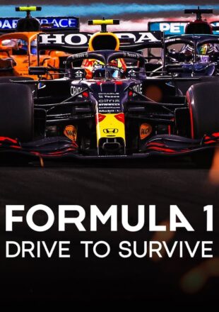 Formula 1: Drive to Survive Season 1-6 Dual Audio Hindi-English 720p 1080p All Episode