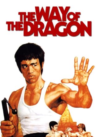 The Way of the Dragon 1972 Dual Audio English-Chinese 480p 720p 1080p